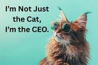 I'm not just the cat I'm the CEO