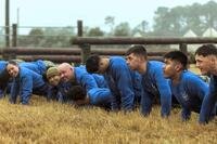 Marines and sailors in blue shirts do pushups in scraggly brown grass.