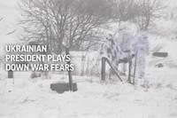 Ukrainian President Plays Down War Fears