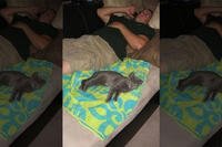 (GoFundMe)