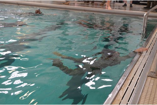 Soldiers at Joint Base Lewis-McChord undergo swim test.