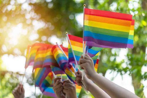 Rainbow flags are held up in celebration of Pride Month