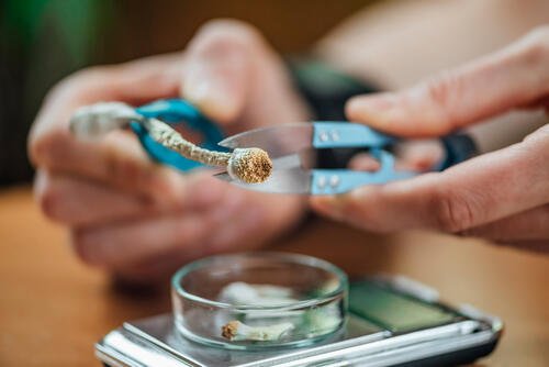 New bipartisan Senate legislation would require the Department of Veterans Affairs (VA) to responsibly evaluate and implement emerging mental health treatments for veterans, including psychedelics. (Shutterstock)